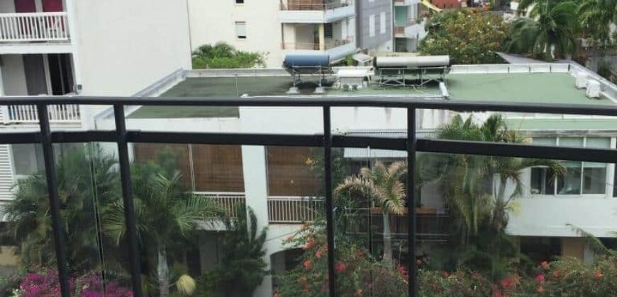 Appartement avec terrasse et stationnement extérieur à vendre en plein cœur de Saint-Denis