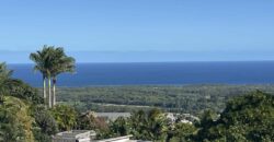 Maison d’Exception avec vue panoramique à Vendre à Etang Salé