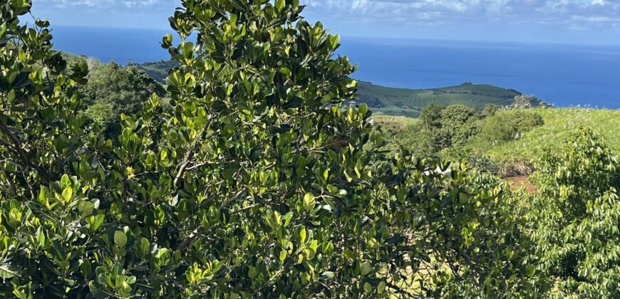 Maison T5+ entièrement rénovée avec vue imprenable sur mer à Petite île