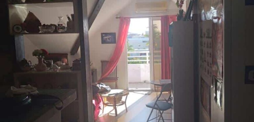 En vente un studio de 50m2 avec vue sur montagne à Saint Pierre