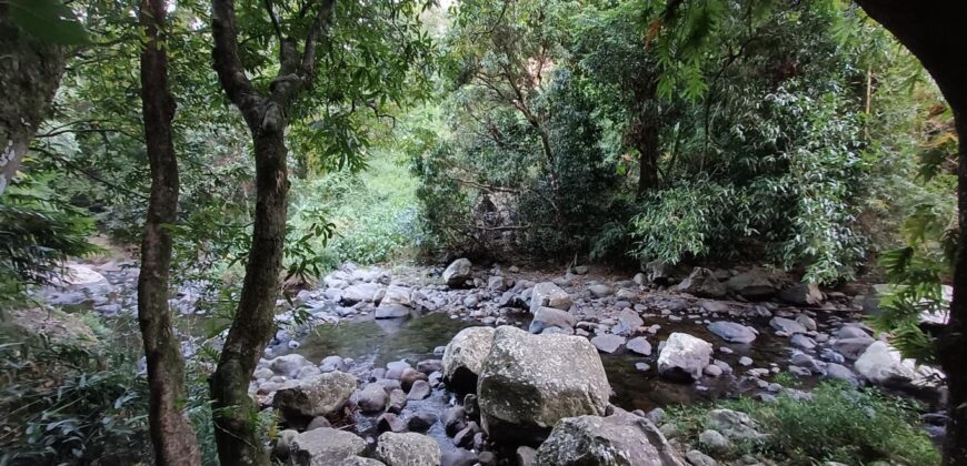 A vendre : 2 maisons à rénover sur un terrain de 3000 m² à Cascades Délices, Sainte-Suzanne