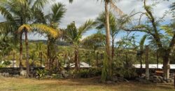 A louer : Studio en Rez-de-Jardin au Bernica, Saint-Gilles Les Hauts