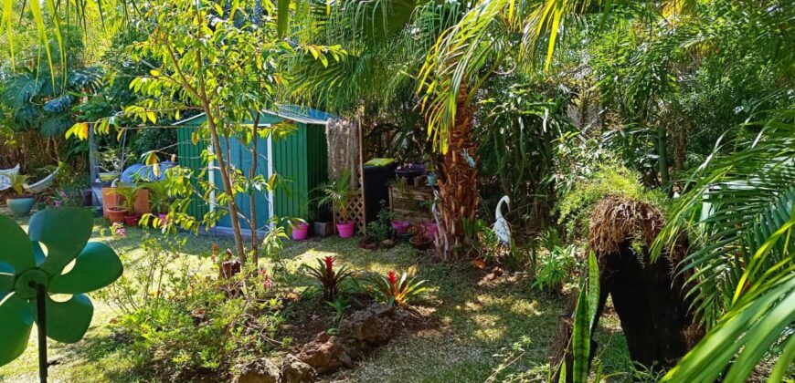 A vendre une charmante villa de plain-pied avec jardin exotique à Trois Mares, Le Tampon