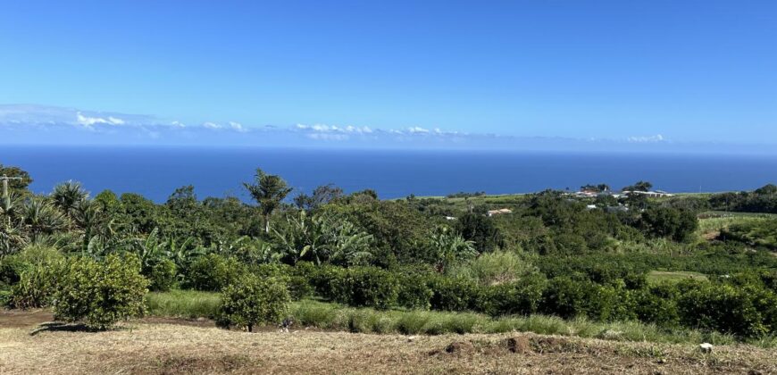 Terrain de 202 m² à vendre, proche centre-ville et collège, avec vue mer imprenable à Petite Île