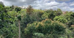 Location maison F4 meublée avec vue imprenable sur l’océan à la Rivière Saint-Louis