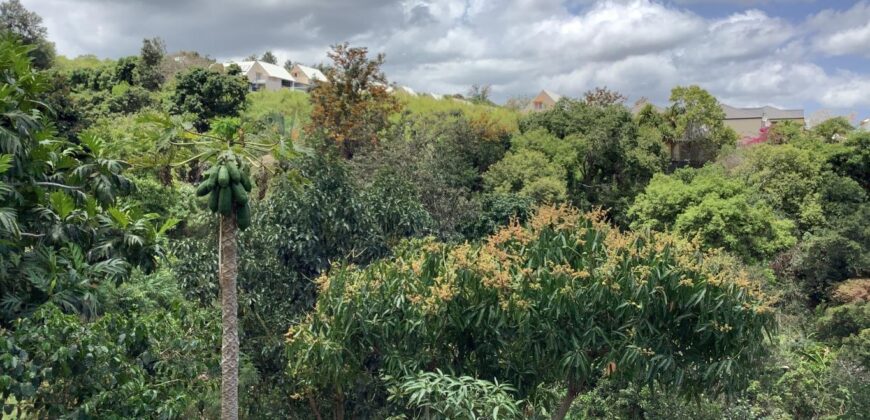 Location maison F4 meublée avec vue imprenable sur l’océan à la Rivière Saint-Louis