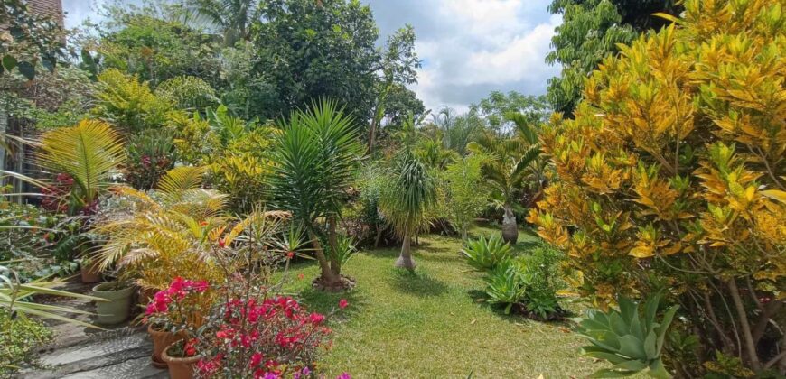 A vendre une villa T4 de 110 m2 avec jardin arboré située dans un quartier calme proche du centre-ville de La Ravine des Cabris