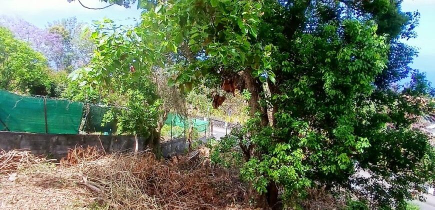 En location une charmante villa créole de type F4 située à Trois Bassins