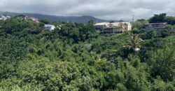 Location d’une charmante villa moderne F4/5 avec vue sur la montagne à Beauséjour.