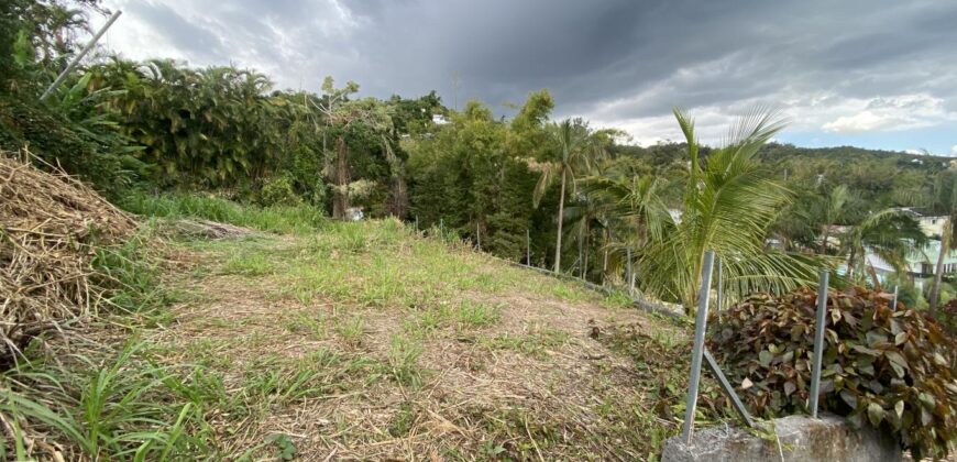 En vente un beau terrain de 1410 m² proche des commerces à La Montagne Saint-Bernard.