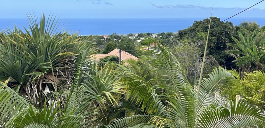 En vente une grande maison avec vue mer implantée sur un terrain de 646 m2 à La Rivière Saint Louis