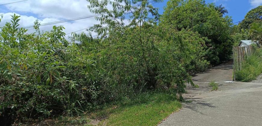 Beau terrain de 400 m² à vendre dans le quartier paisible de l’Entre-Deux