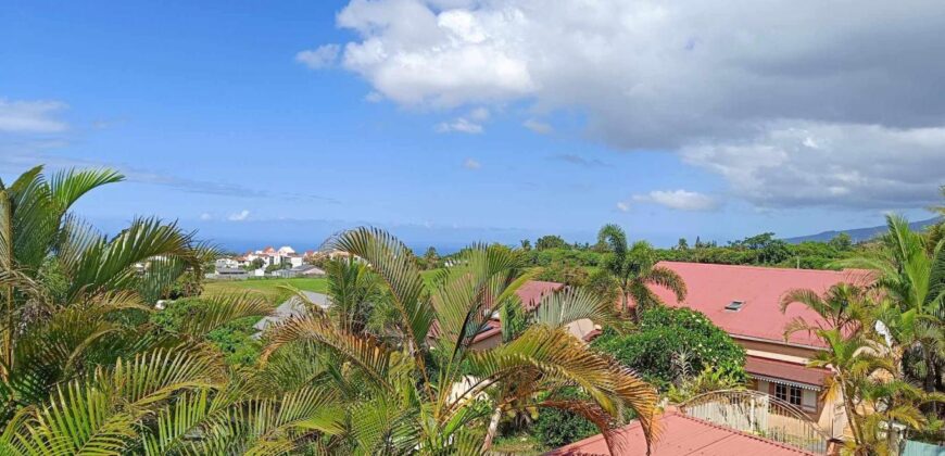 Vente villa spacieuse avec piscine située dans un cadre privilégié à la Ravine des Cabris