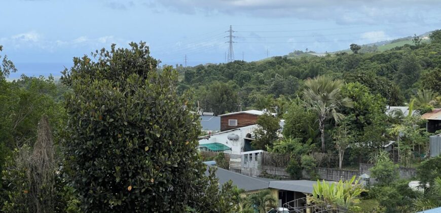 À vendre : Charmante maison bois F3 de plain-pied avec vue sur l’océan, dans un cadre idyllique à Saint-Louis