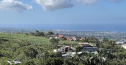 Vente d’une superbe maison F4+ avec vue mer et montagne à Saint-Louis