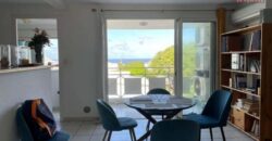 A louer: Appartement meublé de 68.08m2 en plein centre ville de Saint Pierre