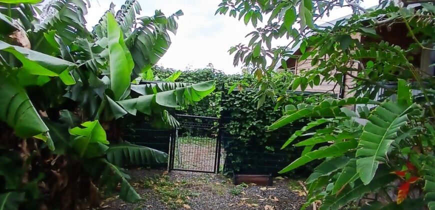 A louer un petit bungalow de 20 m2 situé dans le quartier calme de Villèle à Saint Gilles Les Hauts